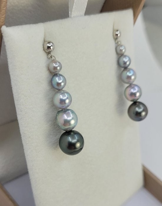 Earrings - 18 kt. White gold - 4x9mm Akoya Pearls - 3