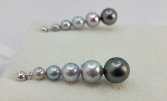 Earrings - 18 kt. White gold - 4x9mm Akoya Pearls - 6