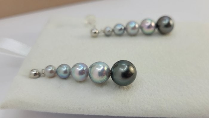 Earrings - 18 kt. White gold - 4x9mm Akoya Pearls - 8