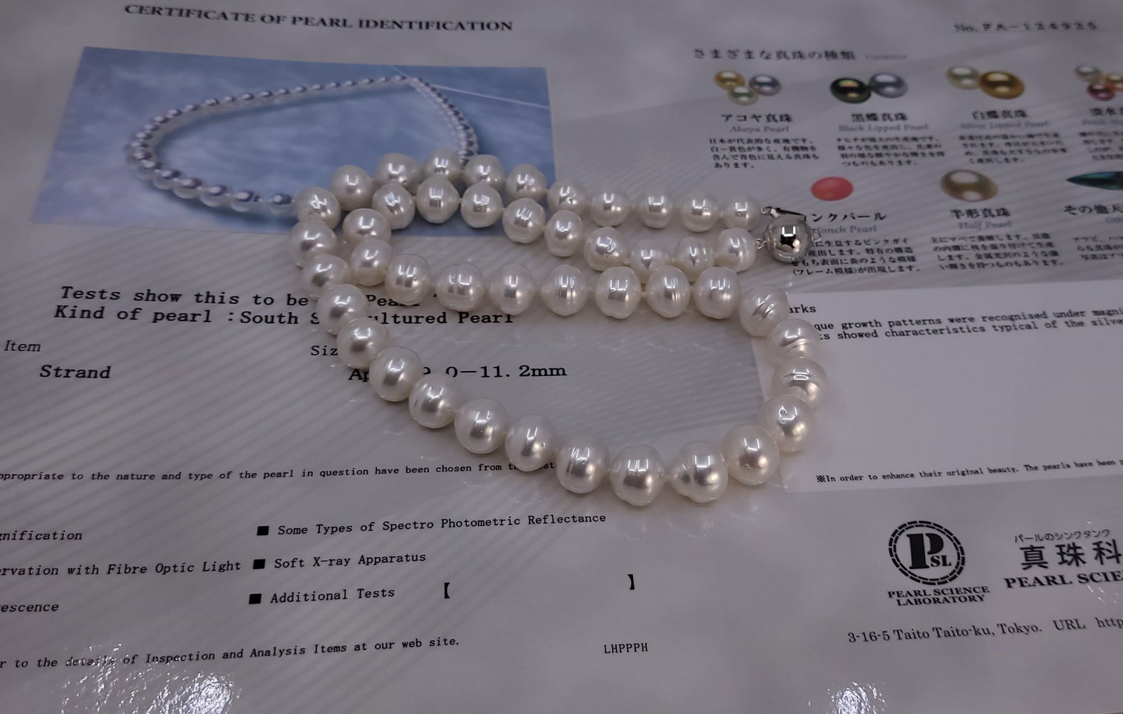 Necklace PSL Certified Australian South Sea Pearls - 9.0x11.2mm - 10
