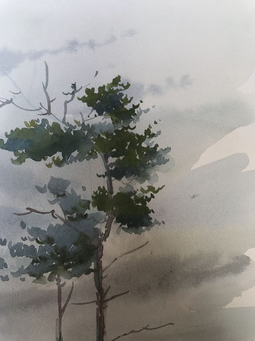 Watercolor painting After the rain Unknown artist - 6