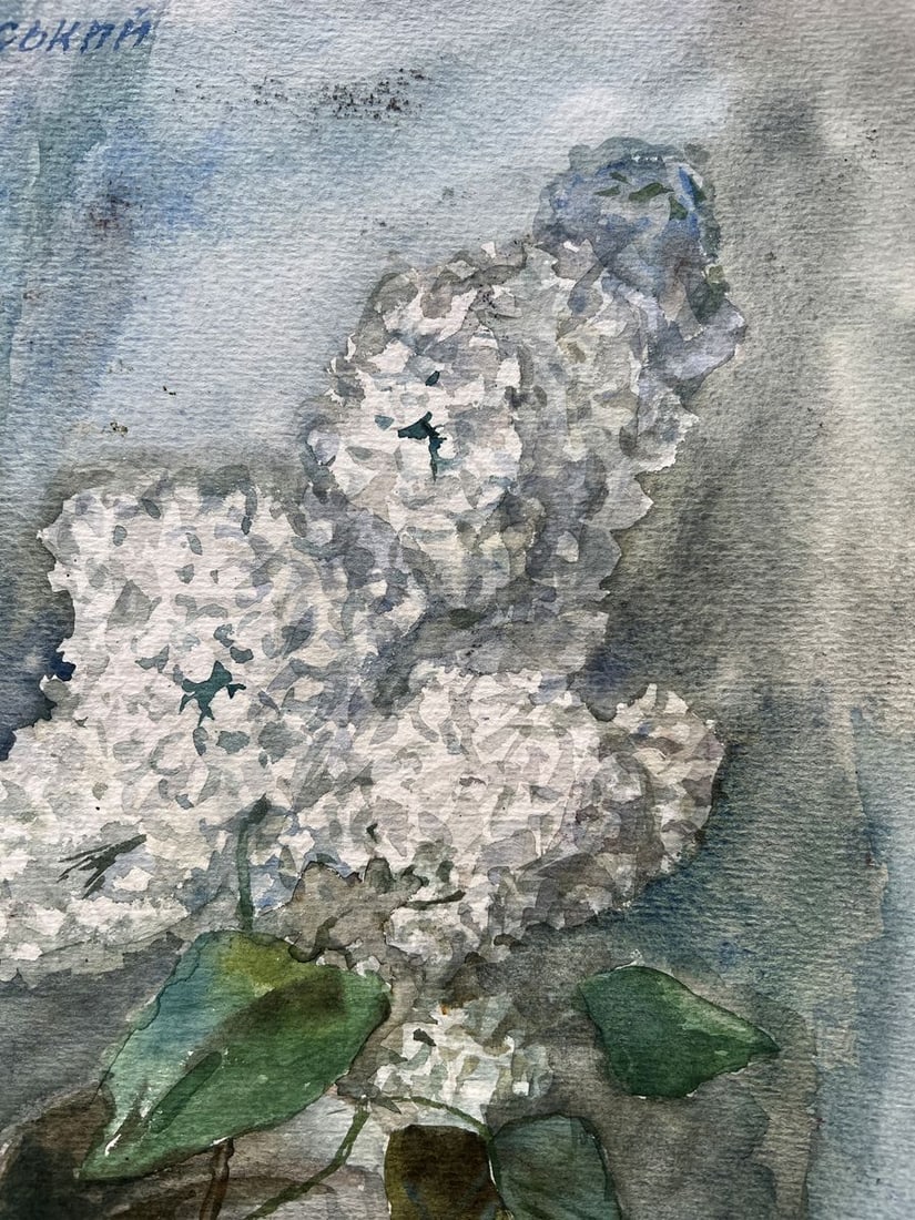 Watercolor painting White lilac V. Mishurovsky - 3