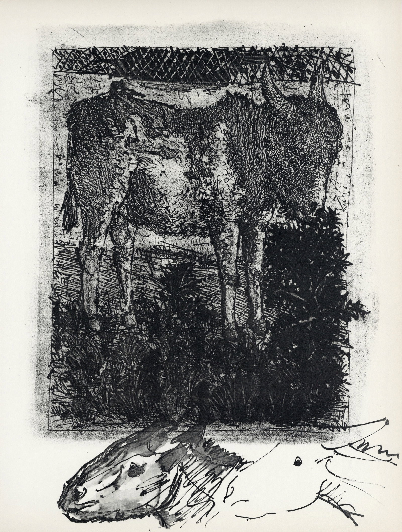Pablo Picasso lithograph | Buffon: Title: Pablo Picasso lithograph | Buffon Description: Medium: lithograph (after the the drawing). Printed in 1957 at the atelier Duval for the Picasso "Buffon" portfolio and published in an edition of