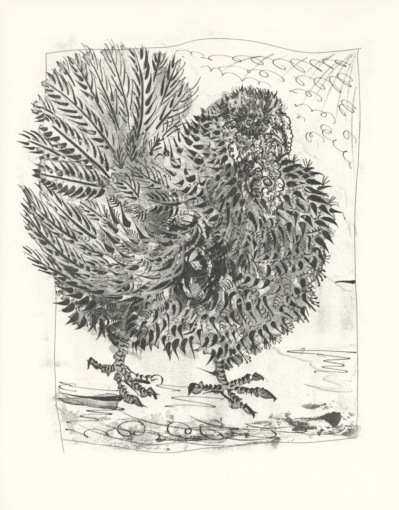 Pablo Picasso "Le Dindon" The Turkey | Buffon: Title: Pablo Picasso "Le Dindon" The Turkey | Buffon Description: Medium: offset lithograph (after the etching). Printed on velin bouffant paper from the Papeteries Casteljoux and published in France 