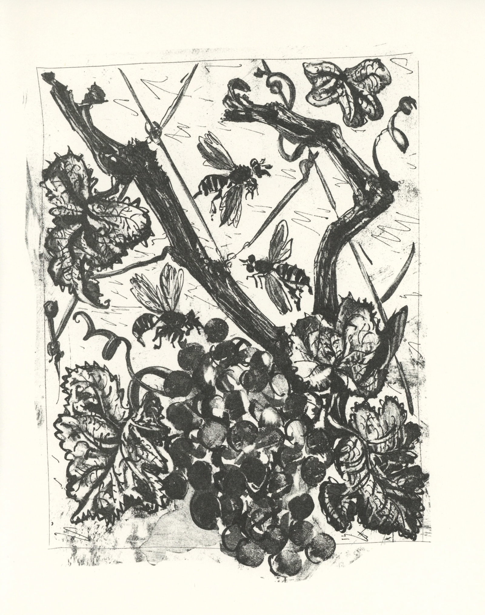 Pablo Picasso "La Guepe" The Wasp | Buffon: Title: Pablo Picasso "La Guepe" The Wasp | Buffon Description: Medium: offset lithograph (after the etching). Printed on velin bouffant paper from the Papeteries Casteljoux and published in France by 