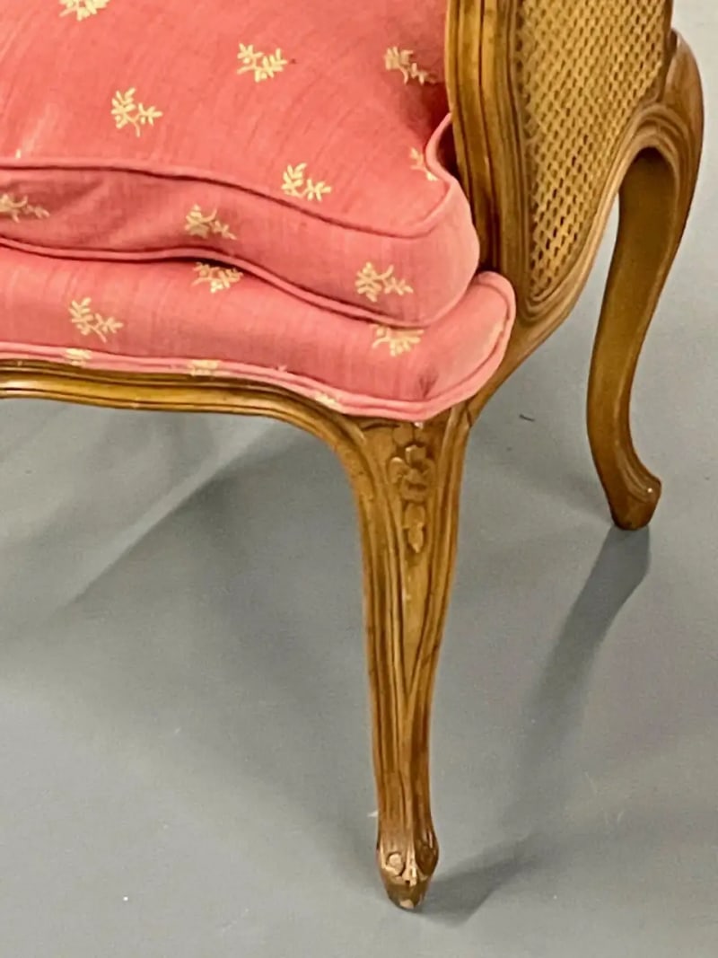Pair of French Louis XV Style Cane Occasional/Armchairs, Wingbacks, France - 2