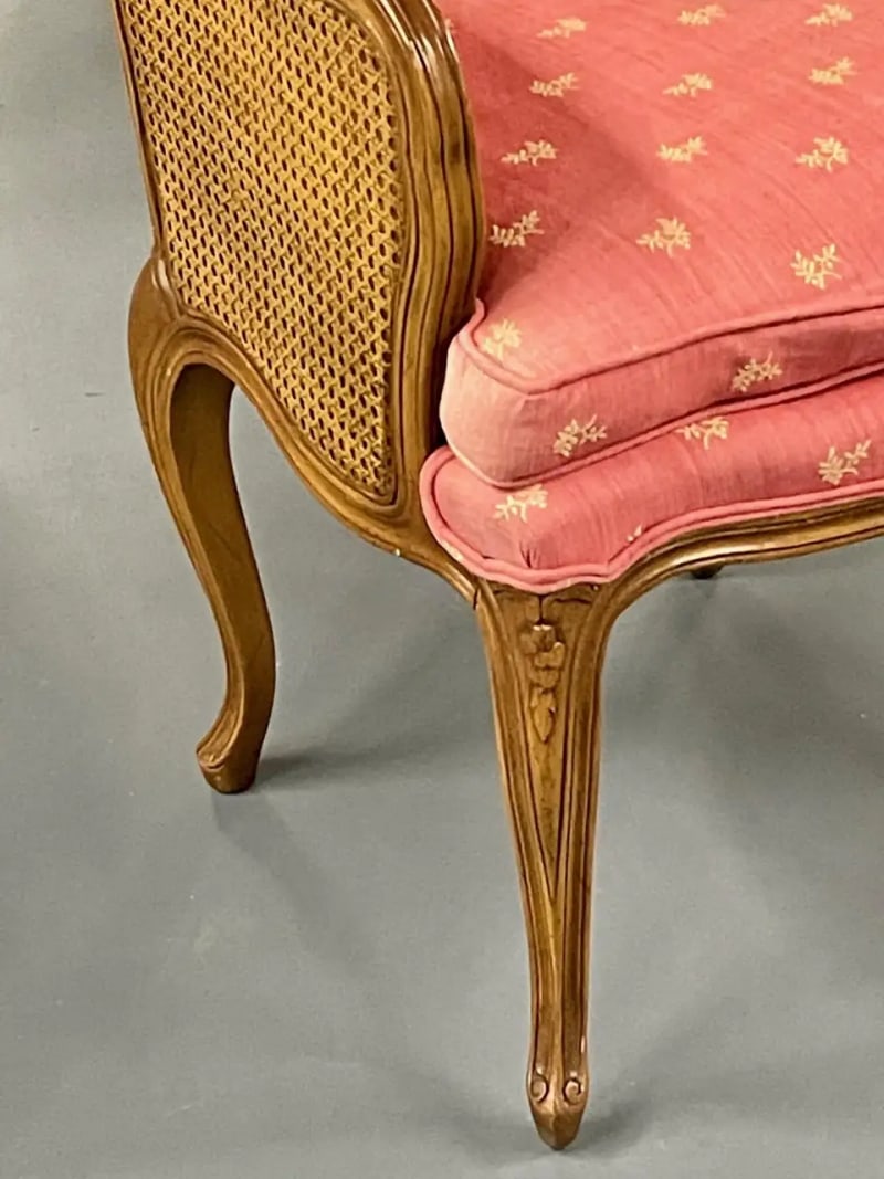 Pair of French Louis XV Style Cane Occasional/Armchairs, Wingbacks, France - 7
