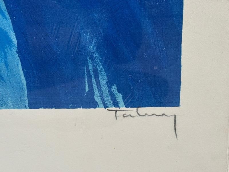 Itzchak Isaac Tarkay, Fauvsim, Signed and Numbered Silkscreen, 20th c. - 7