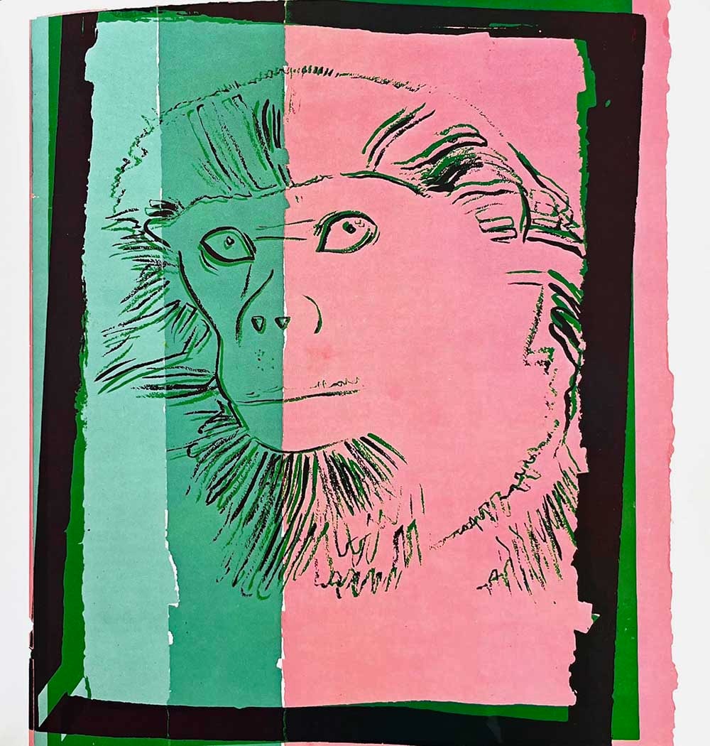 Andy Warhol Douc Langur 1986 Vanishing Animals: Title: Douc Langur Artist: Andy Warhol Country: USA Medium: Offset print Marks: Not signed or numbered nor framed. Paper Size: 10.50 x 10.25 inch Printed: 1986 Offset by Sturtz Wutzburg, Germany