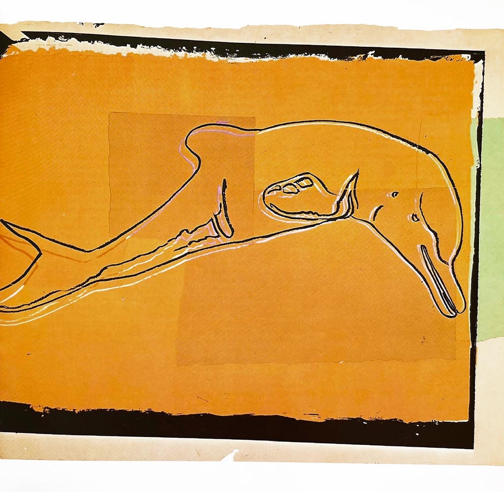 Andy Warhol La Plata River Dolphin 1986 Vanishing Animals: Title: La Plata River Dolphin Artist: Andy Warhol Country: USA Medium: Offset print Marks: Not signed or numbered nor framed. Paper Size: 10.50 x 10.25 inch Printed: 1986 Offset by Sturtz Wutzburg,