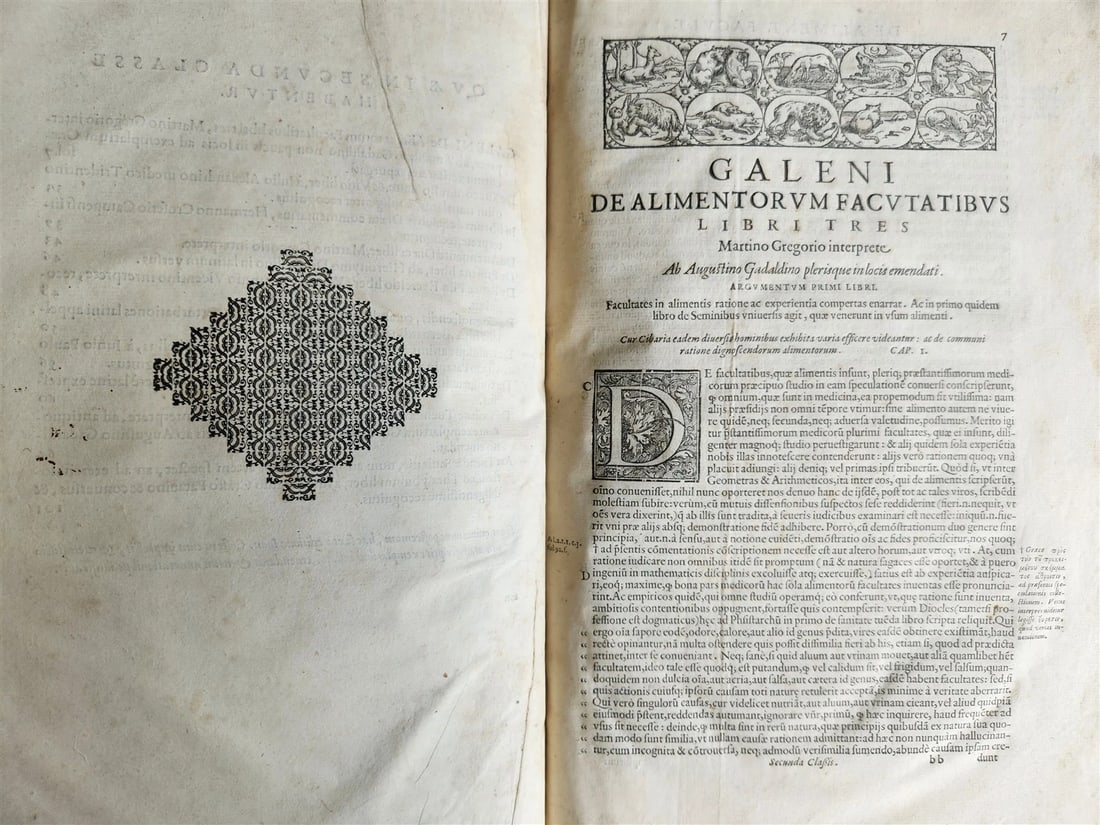 1586 GALEN WORKS GIUNTA PRESS antique 16th CENTURY THICK FOLIO medical treatise - 7
