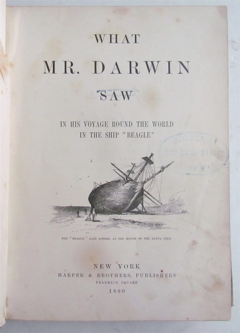 1880 WHAT MR. DARWIN SAW IN HIS VOYAGE ROUND THE WORLD IN SHIP BEAGLE ANTIQUE - 2