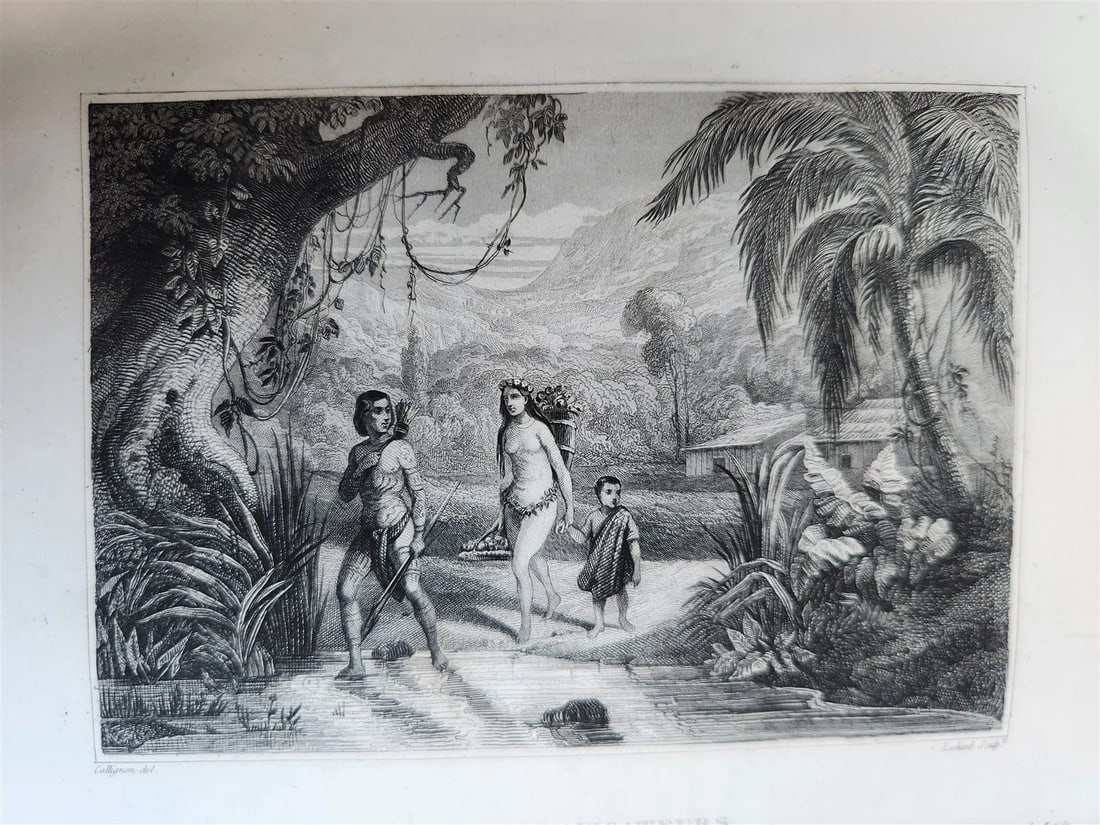1843 TRAVELS to AMERICA CHINA INDIA 8 vols ILLUSTRATED antique in FRENCH - 5