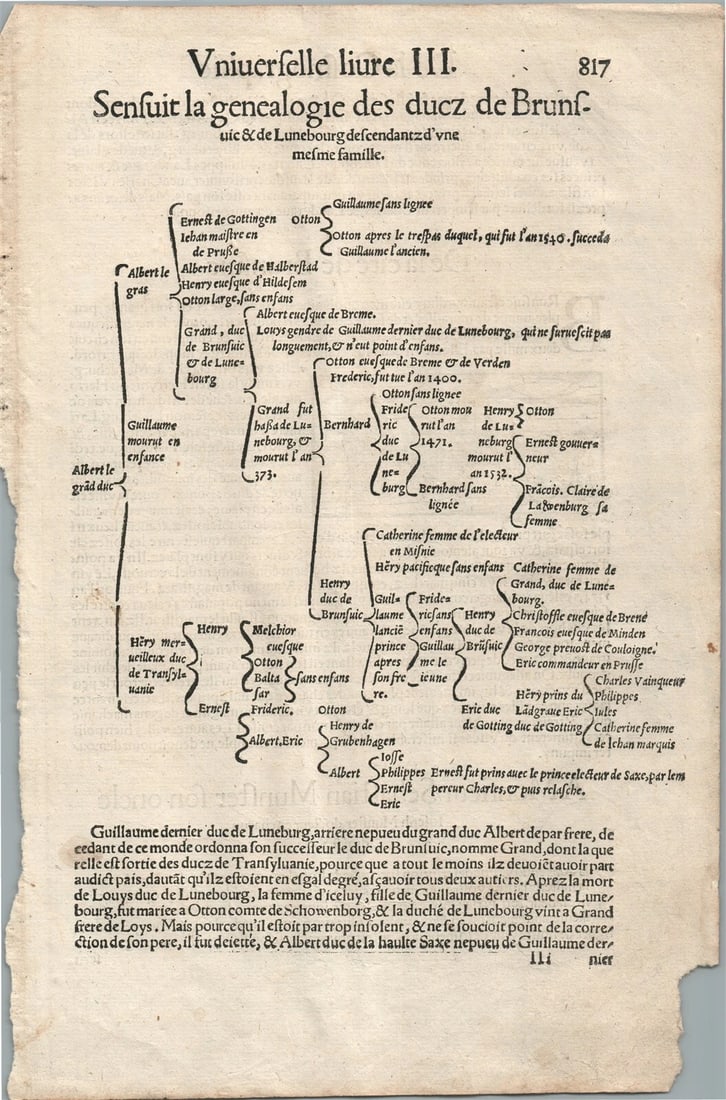 1575 BRUNSWICK GERMANY from BELLEFOREST EDITION of MUNSTER COSMOGRAPHY - 3