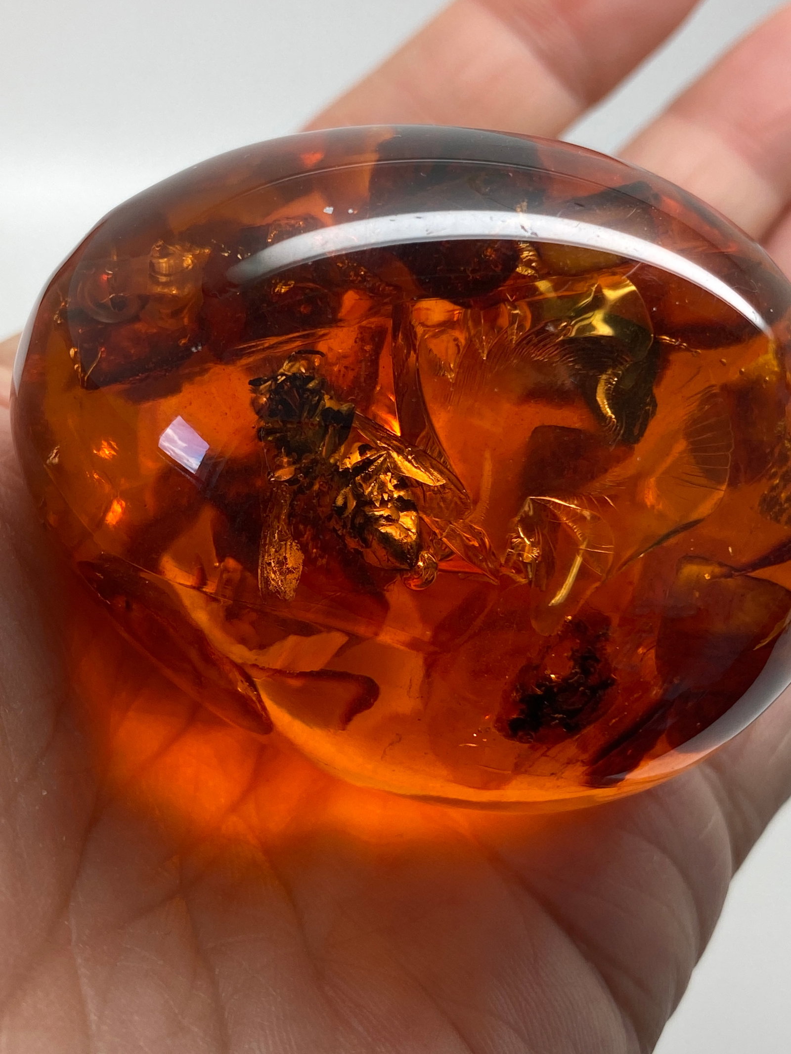 Stunning Amber Egg on a pedestal with insect inclusion - 4