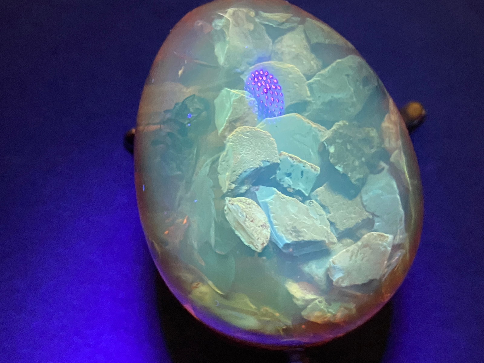 Stunning Amber Egg on a pedestal with insect inclusion - 7