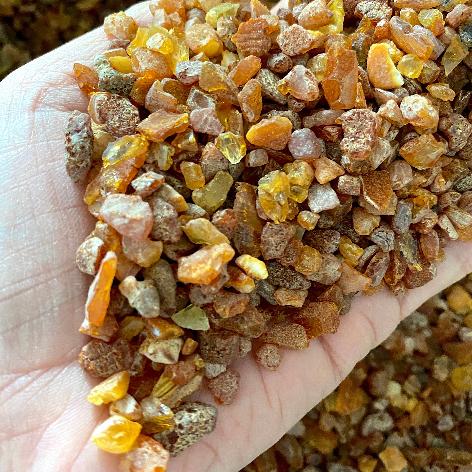 Unique Natural Amber stones of varied size - 9