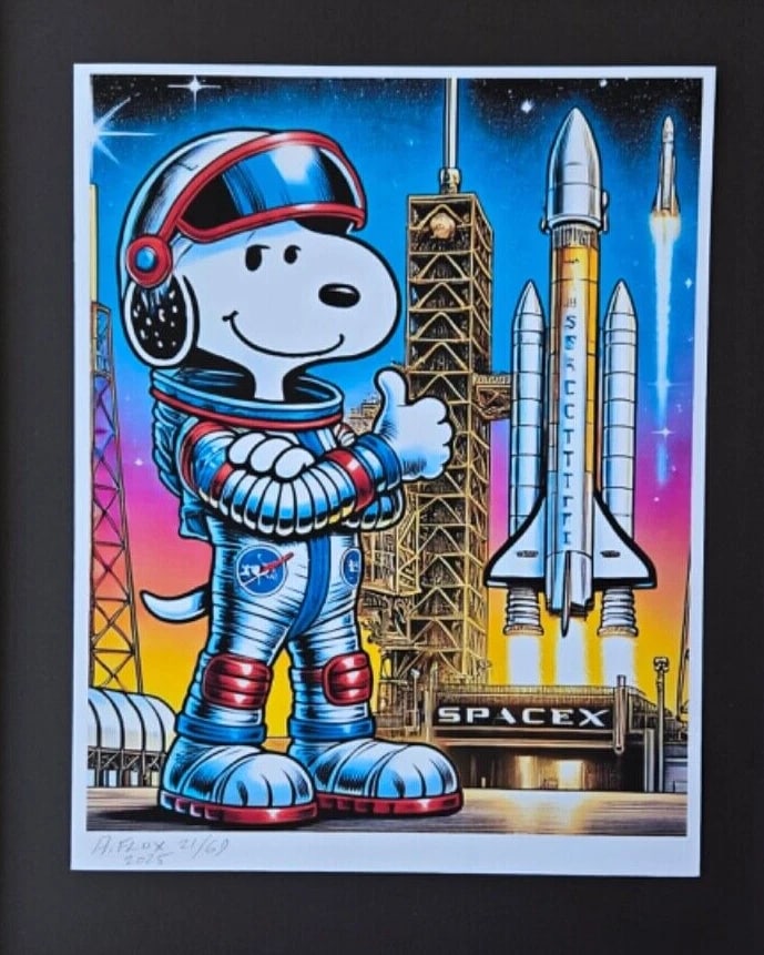 AIDAN FLUX | Hand Signed Authentic Print Framed SNOOPY WORKS AT SPACEX COA - 3
