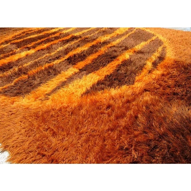 Supernova Shag Rug With Abstract Design, Circa 1970 - 5