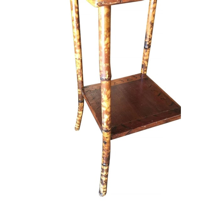 Restored Tiger Bamboo Tortoise Pedestal W/ Storage Box - 5