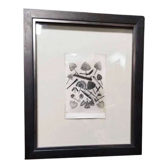 Samoan Fans Original Photography Print by Alfred James Tattersall: Title: Samoan Fans Original Photography Print by Alfred James Tattersall Description: The Samoan Fans Original Photography Print by Alfred James Tattersall, is an original print, bearing the