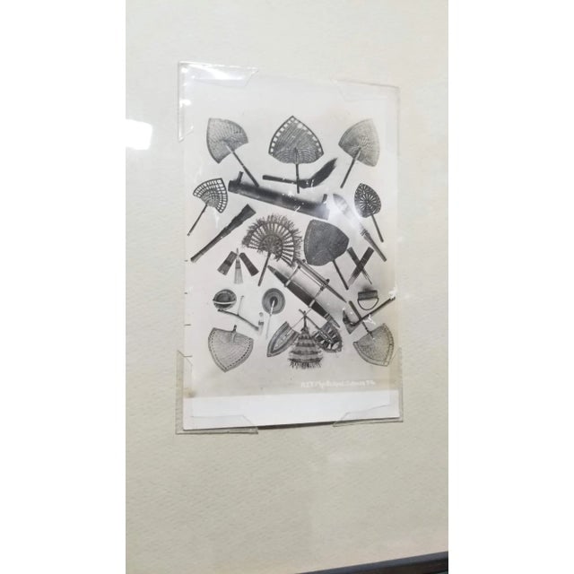 Samoan Fans Original Photography Print by Alfred James Tattersall - 4