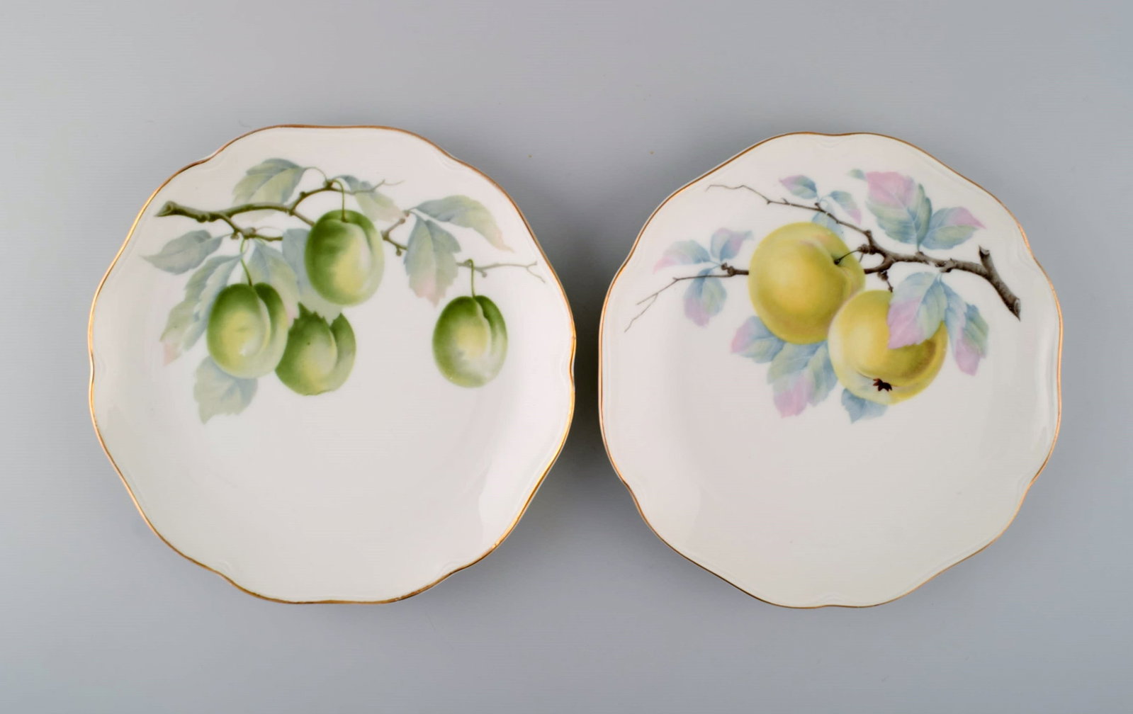 Kronach, Germany. 14 porcelain plates with hand-painted fruits. 1940s. - 5
