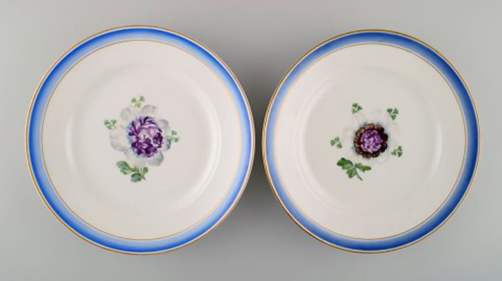 Six antique Royal Copenhagen plates in hand-painted porcelain with flowers and blue border with - 3
