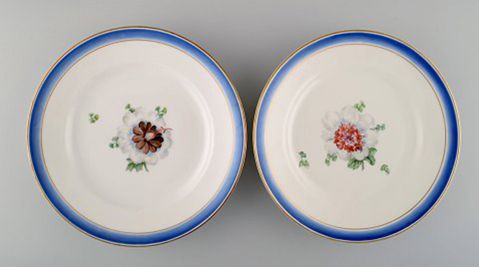 Six antique Royal Copenhagen plates in hand-painted porcelain with flowers and blue border with - 4
