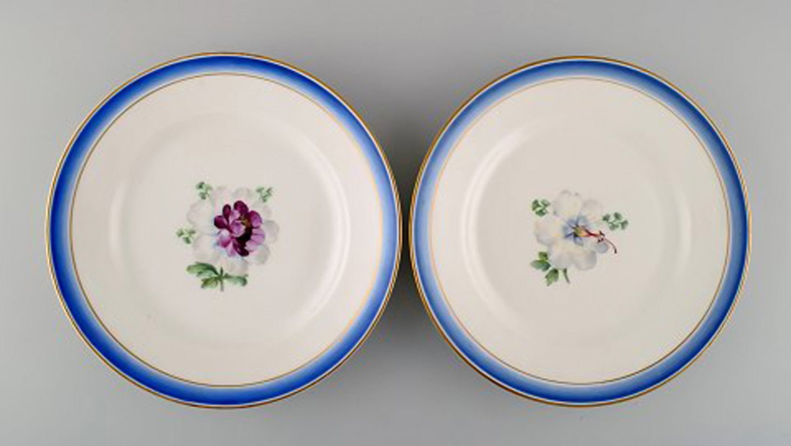 Six antique Royal Copenhagen plates in hand-painted porcelain with flowers and blue border with - 5
