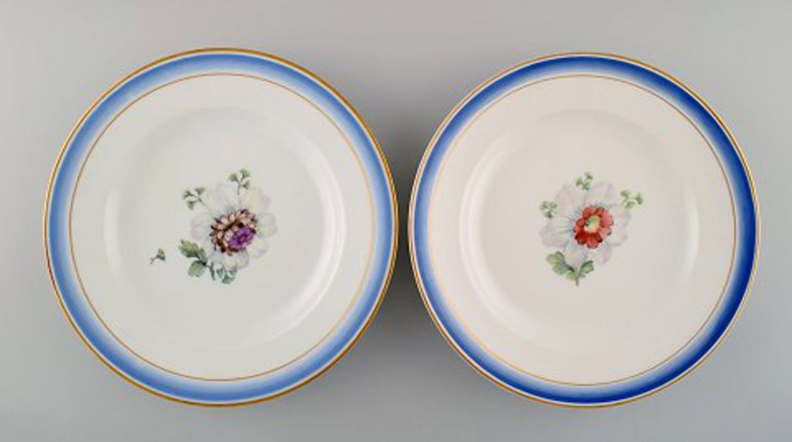 Five antique Royal Copenhagen plates in hand-painted porcelain with flowers and blue border with - 3