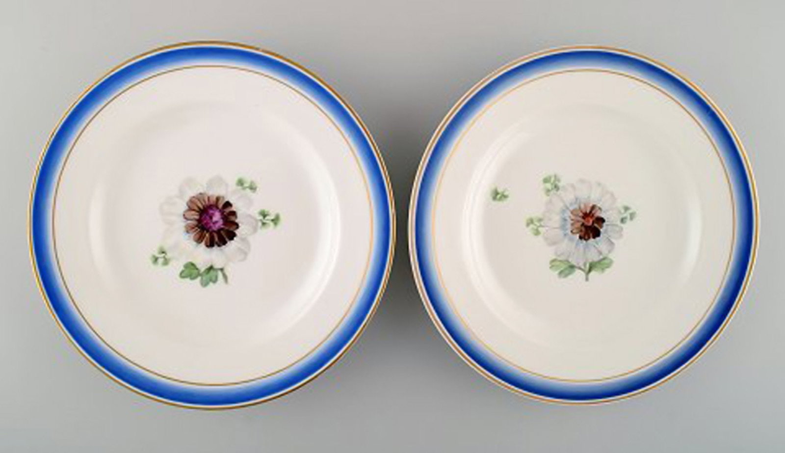 Five antique Royal Copenhagen plates in hand-painted porcelain with flowers and blue border with - 4