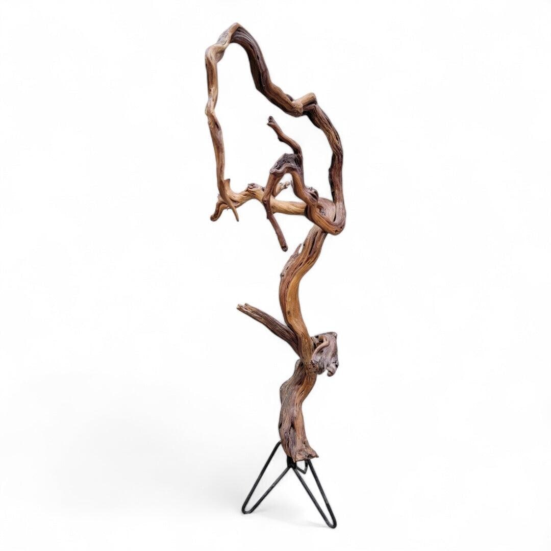 Mid Century Natural Teak Rood Floor Statue - 2