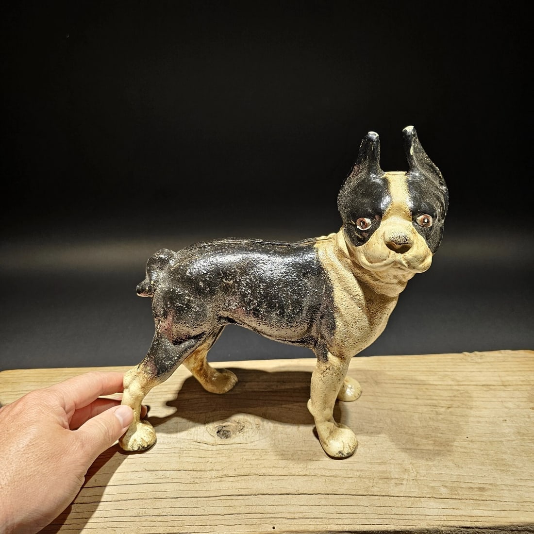 Cast Iron Boston Terrier Dog Door Stop Coin Bank - 13