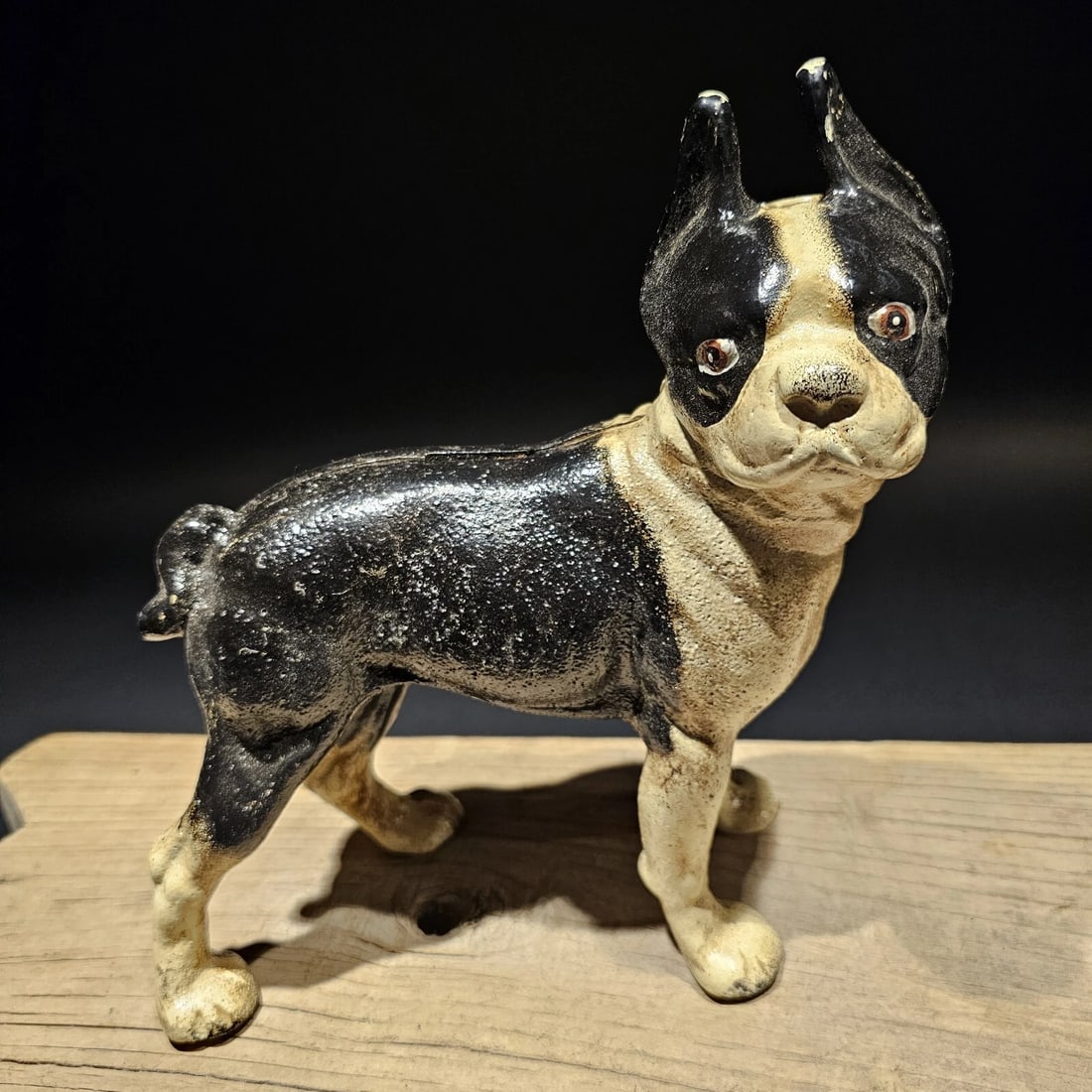 Cast Iron Boston Terrier Dog Door Stop Coin Bank - 9
