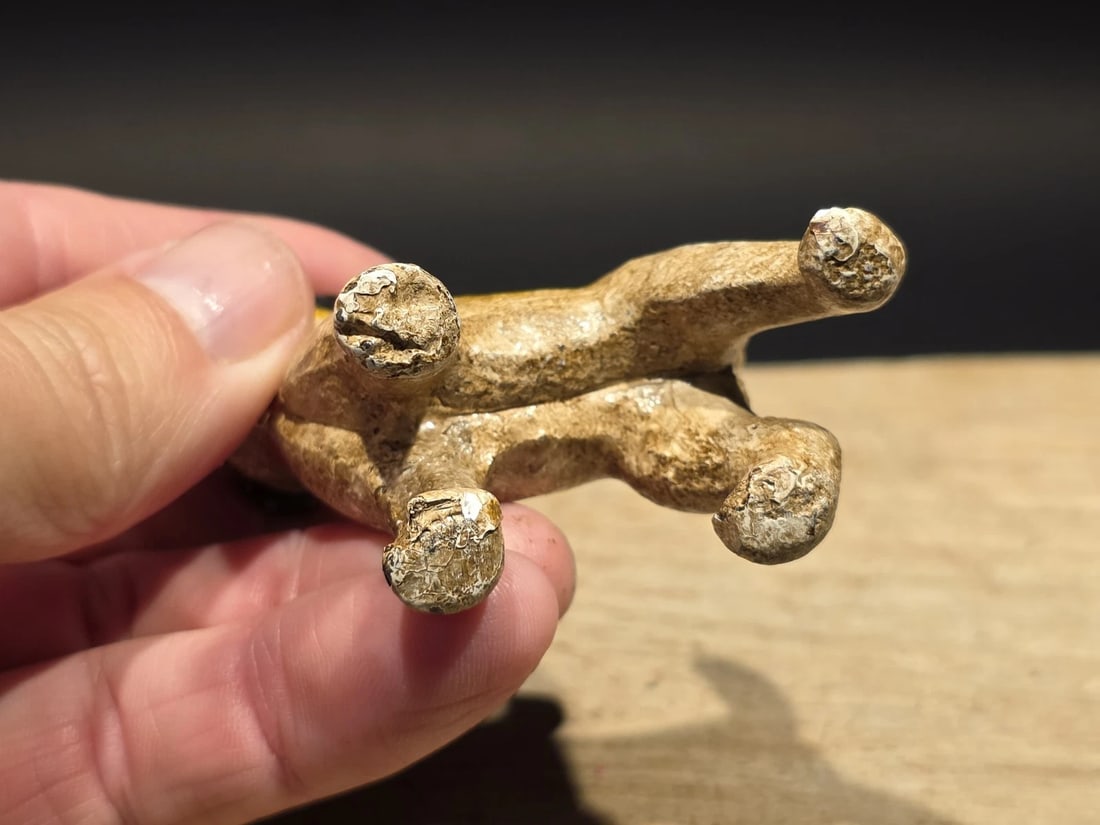Miniature Cast Iron Fox Hair Terrier Dog - 10