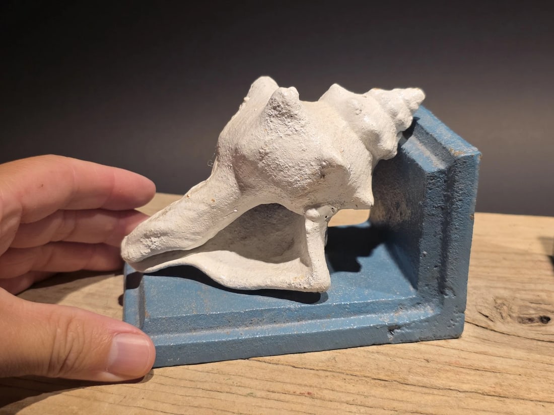 Pair of Cast Iron Conch Shell Bookends Old Paint - 2
