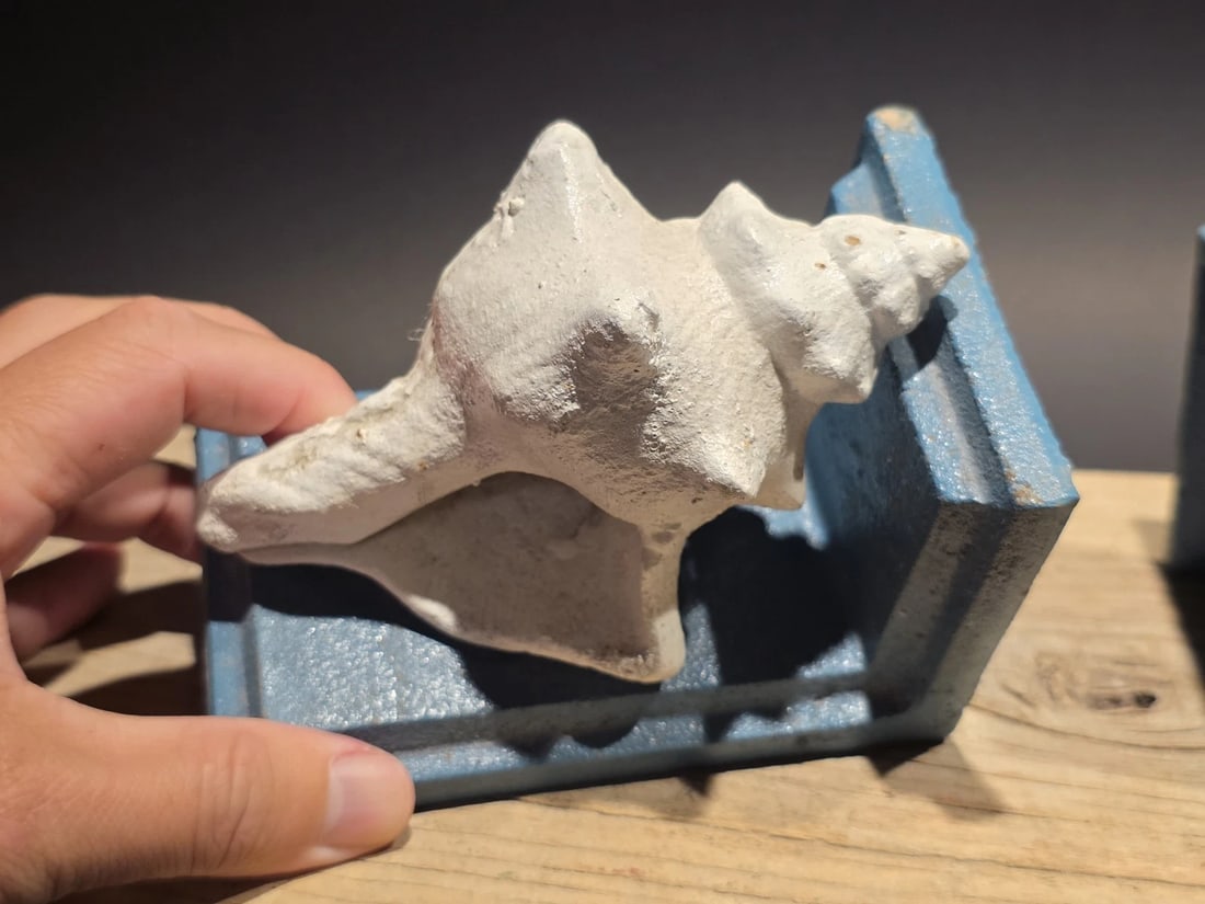 Pair of Cast Iron Conch Shell Bookends Old Paint - 3