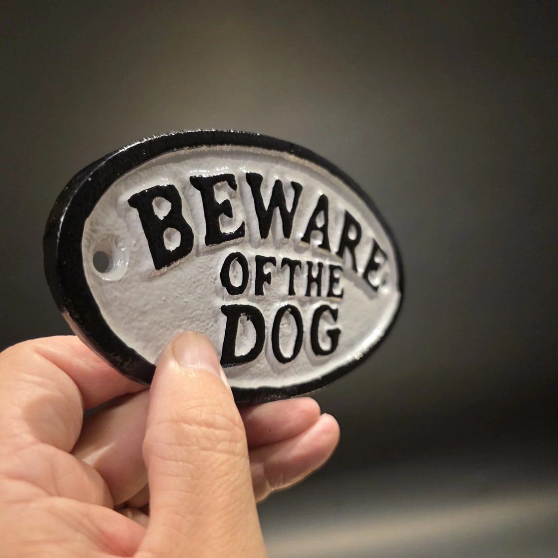 6 1/2" Cast Iron Beware of the Dog Sign Plaque - 2