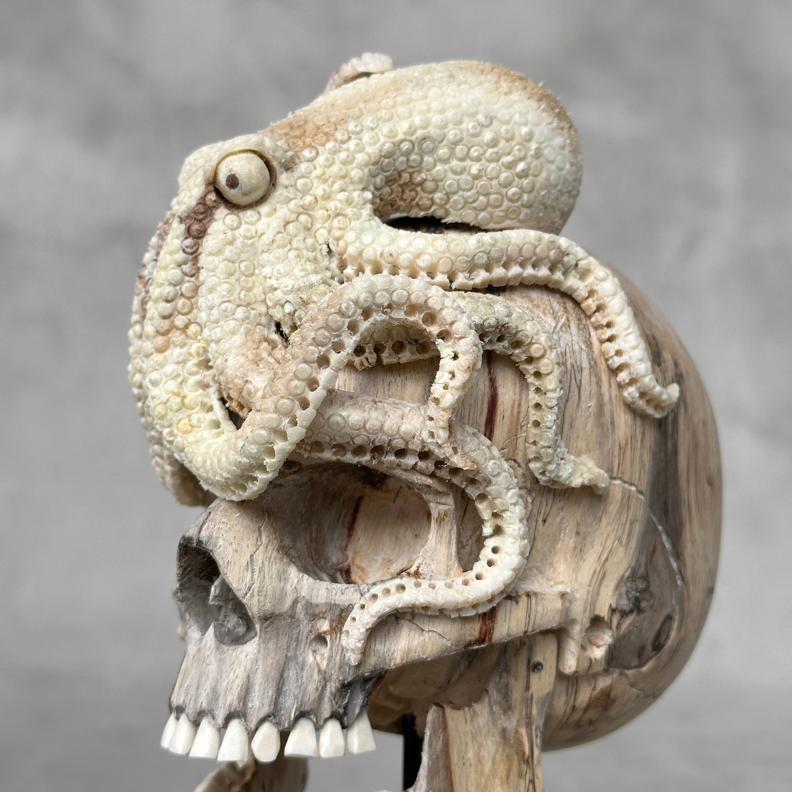 Carved human skull with a stunning carved octopus - 2