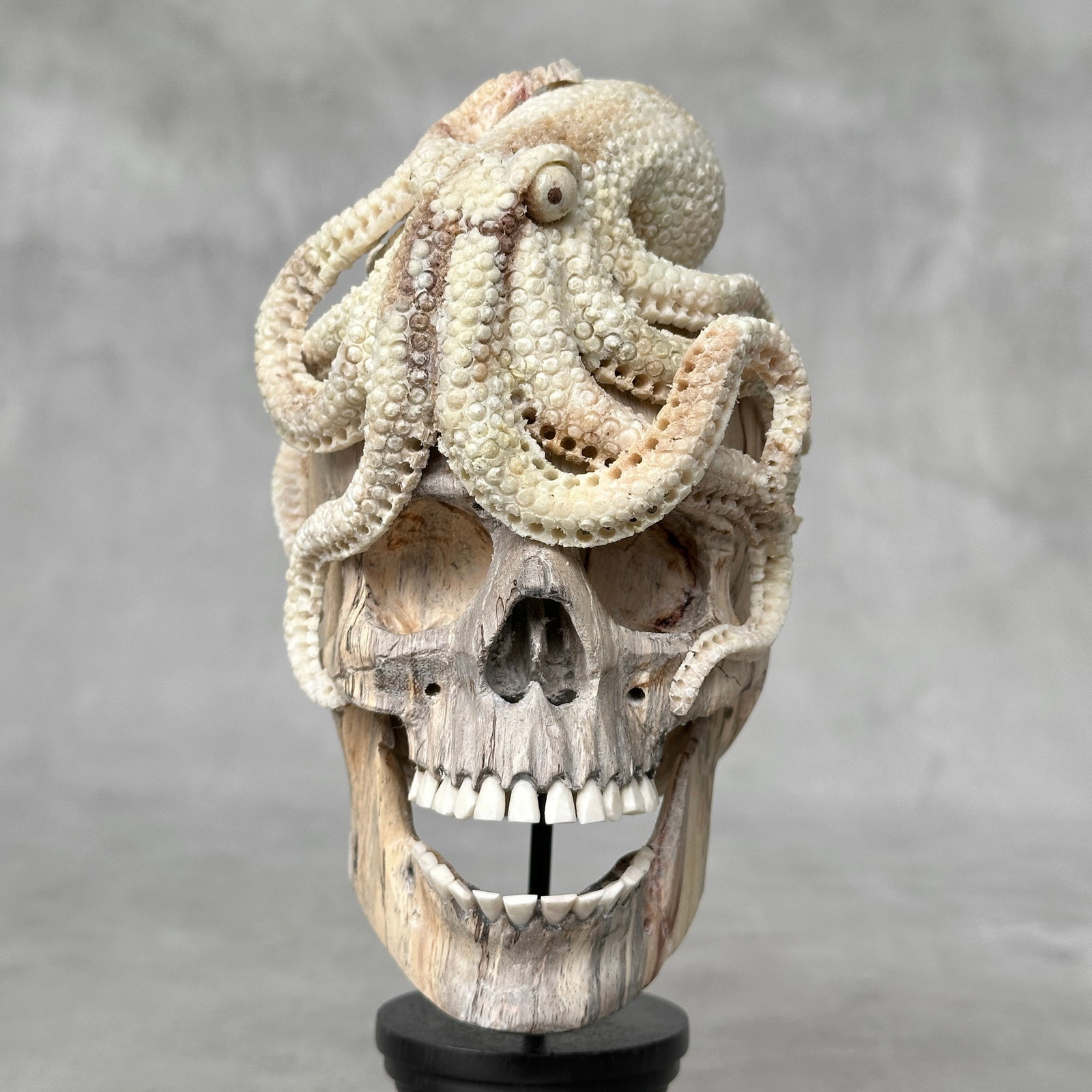 Carved human skull with a stunning carved octopus - 4