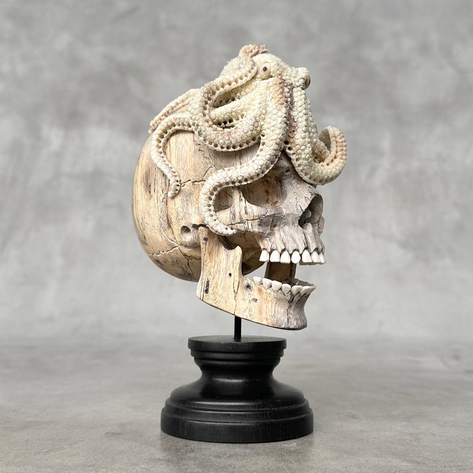 Carved human skull with a stunning carved octopus - 5