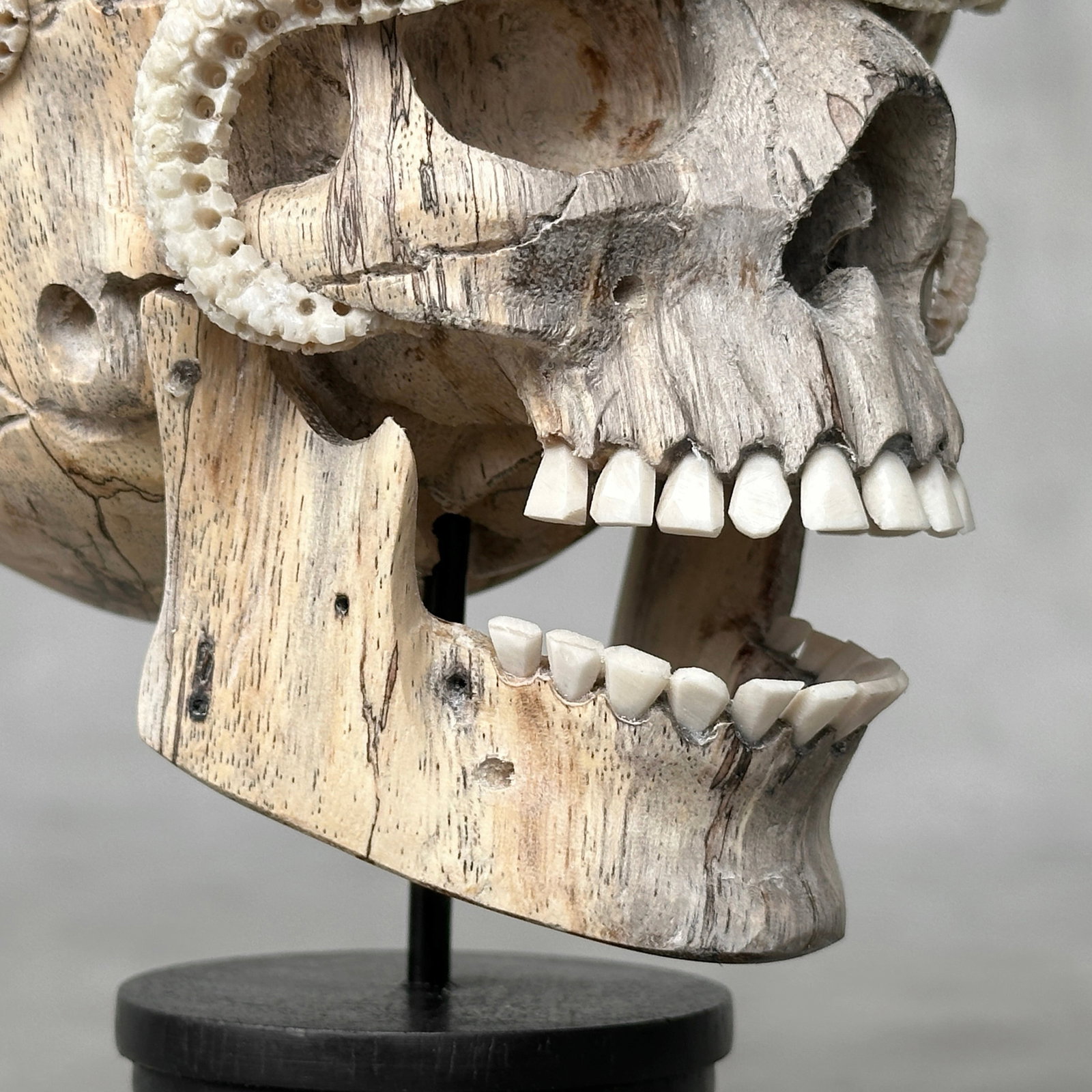 Carved human skull with a stunning carved octopus - 7