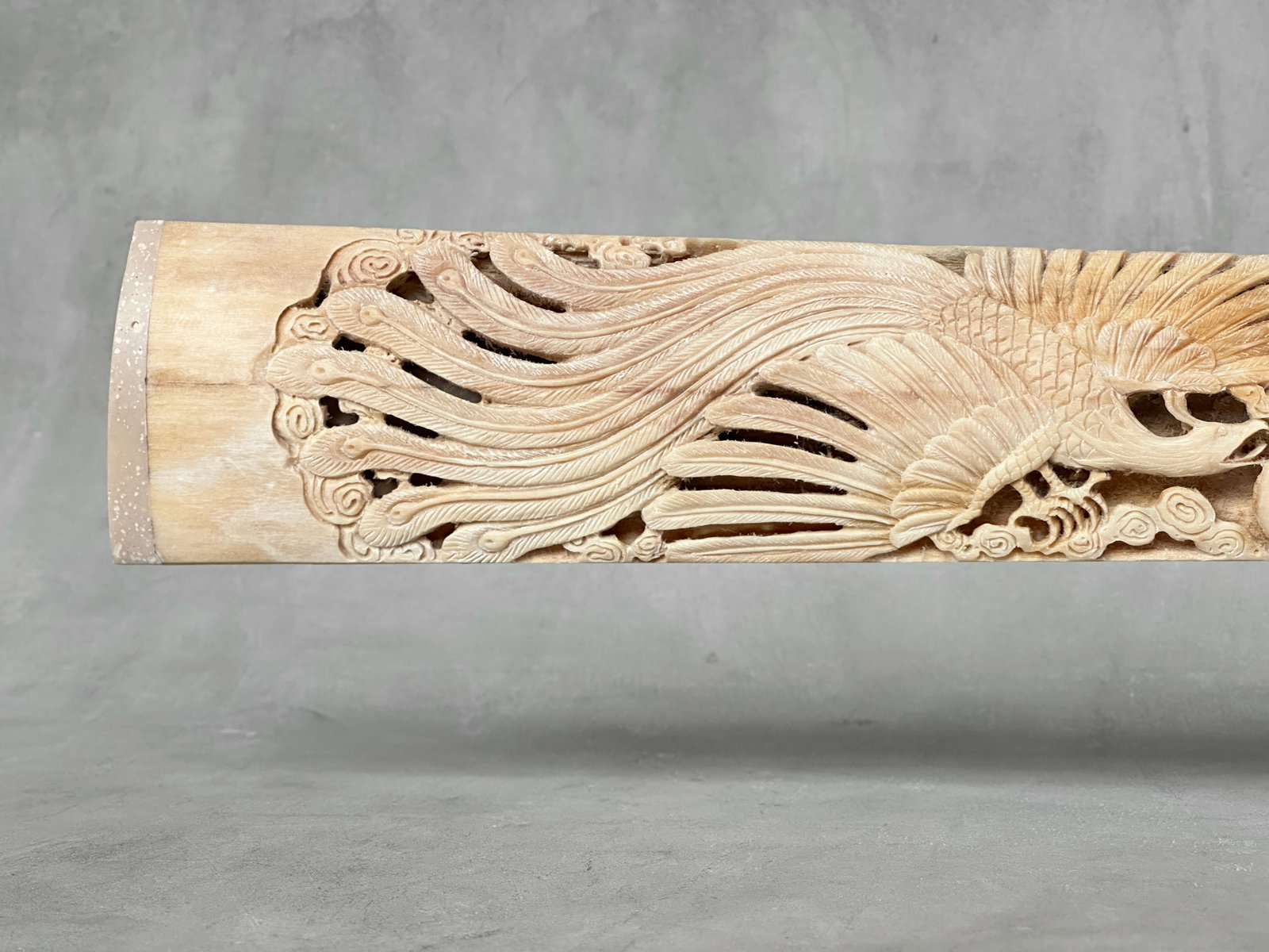 Beautiful engraved swordfish rostrum - Dragon Phoenix motif - 5