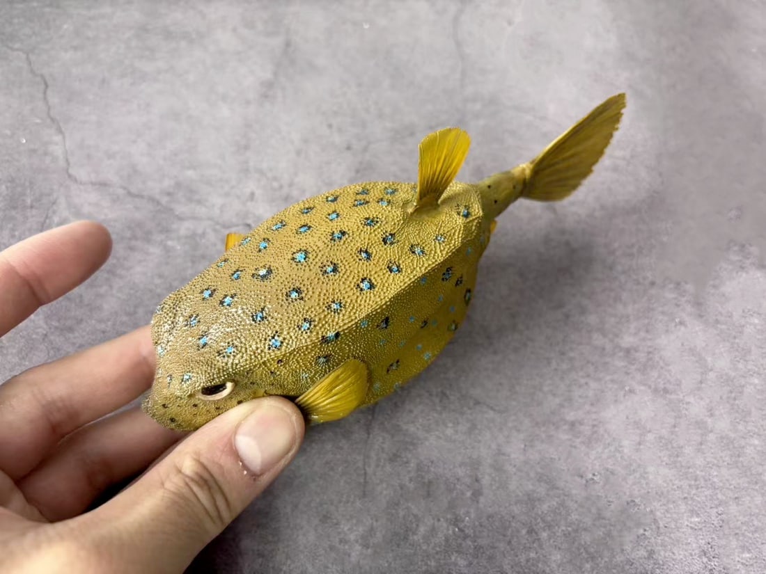 Repainted Yellow Boxfish Ostracion cubicus - 2