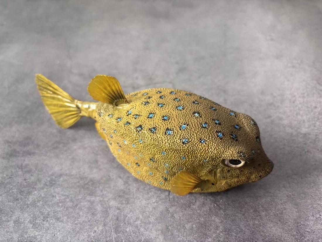 Repainted Yellow Boxfish Ostracion cubicus - 3