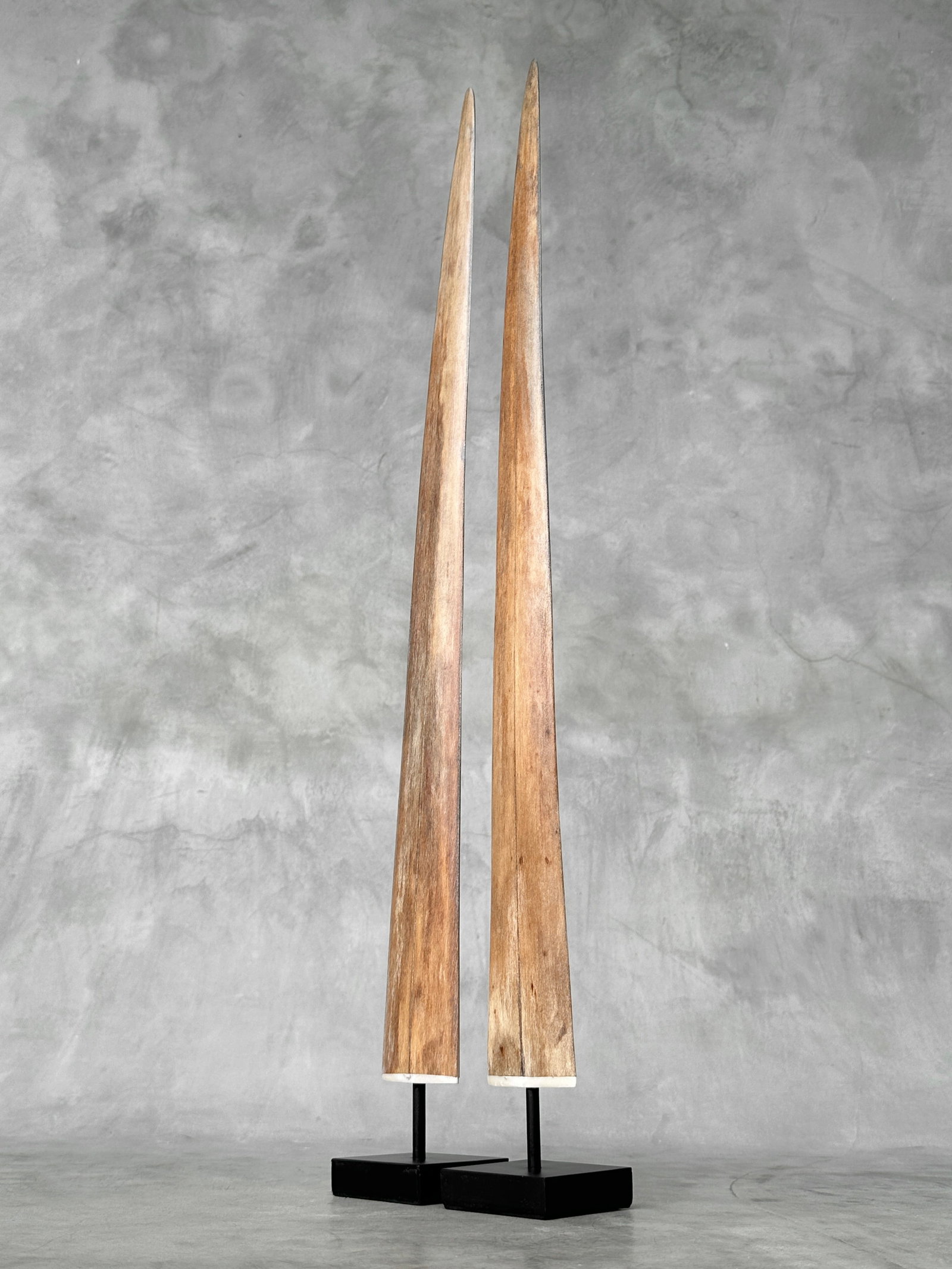 Pair of swordfish tusks with custom stands - 3