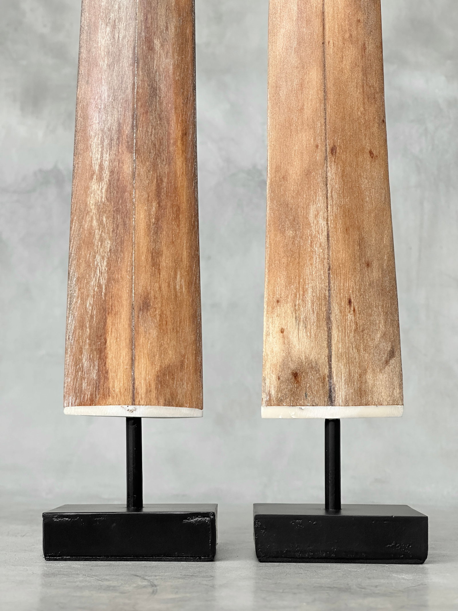 Pair of swordfish tusks with custom stands - 4