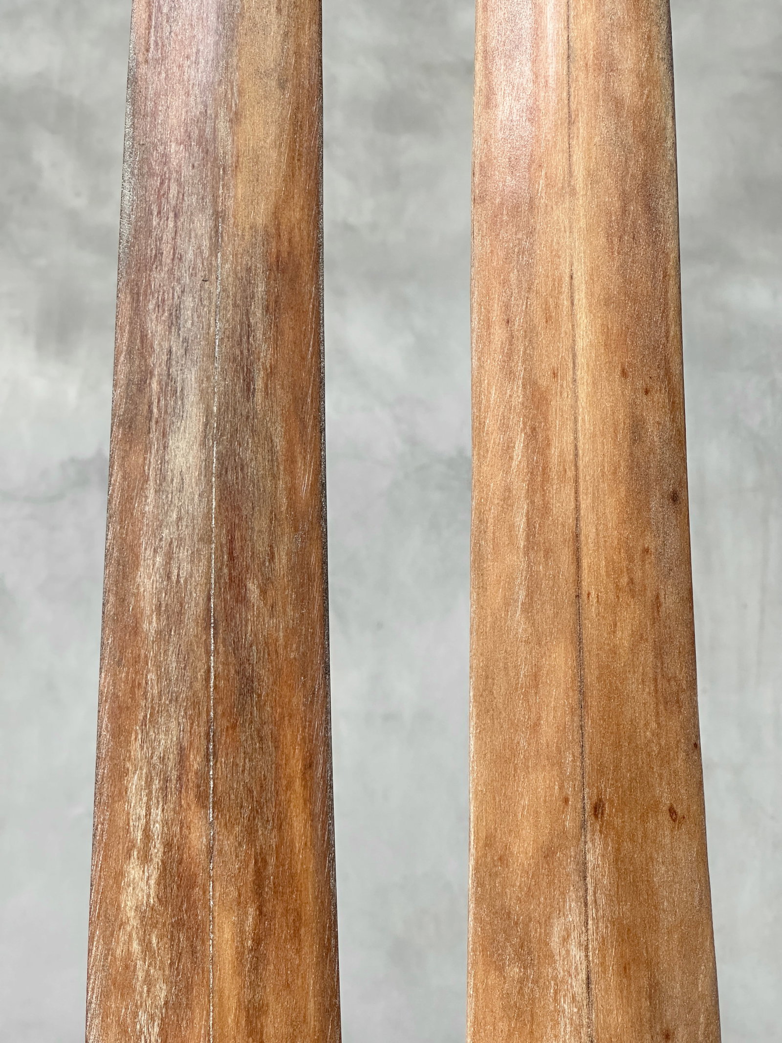Pair of swordfish tusks with custom stands - 5