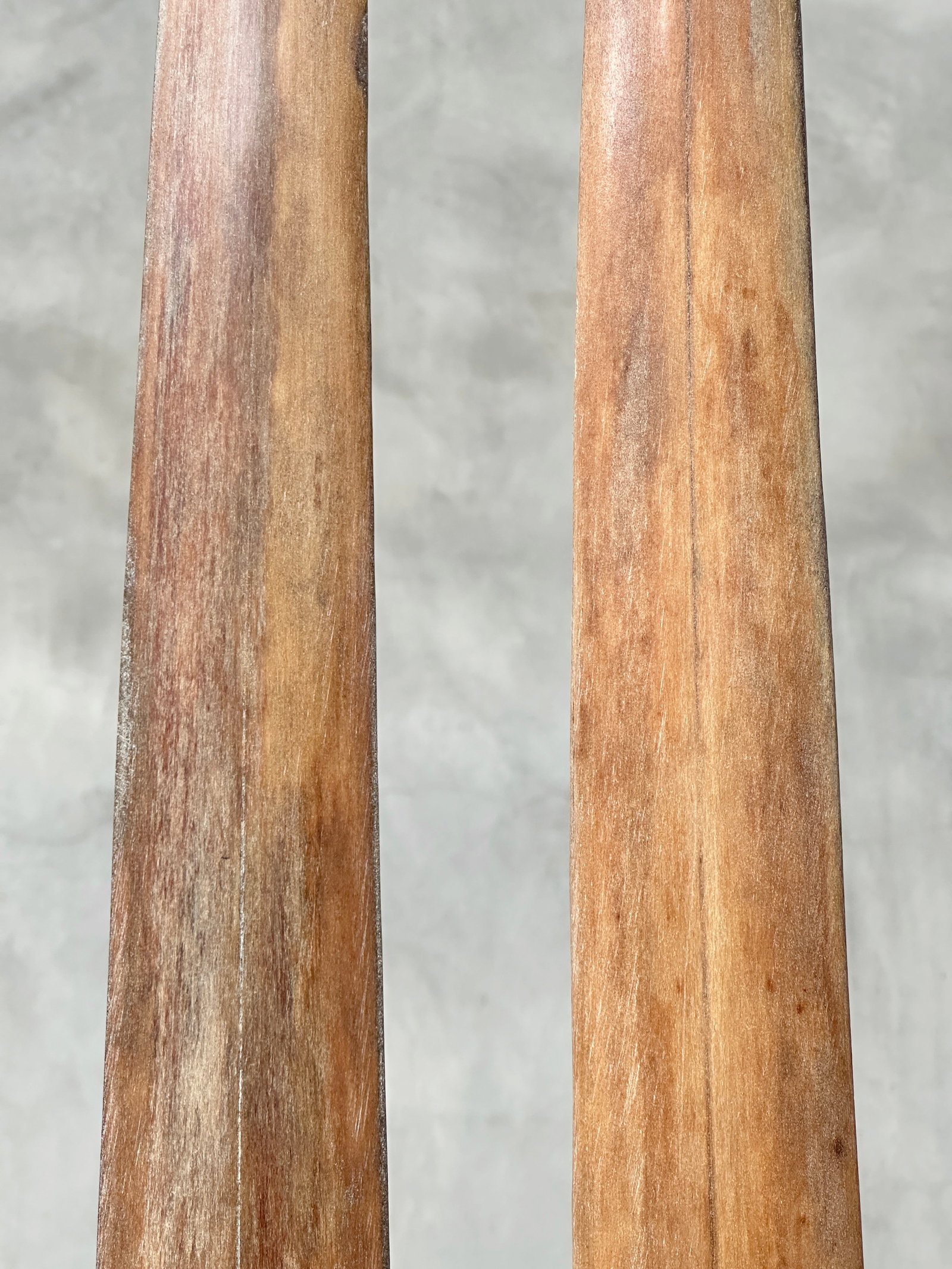 Pair of swordfish tusks with custom stands - 6